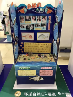 舟山市属:舟山二小学生2017"环球自然日"全球总决赛获佳绩